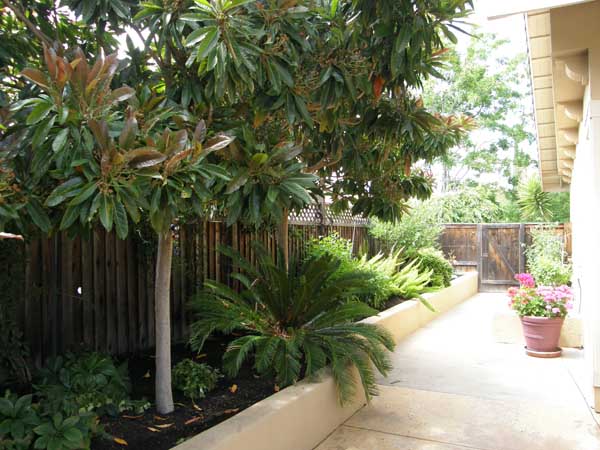 Landscape Designs by Rick Martens