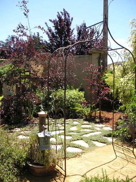 Landscape Designs by Rick Martens