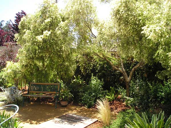 Landscape Designs by Rick Martens