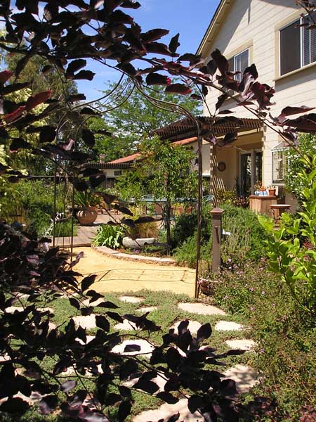 Landscape Designs by Rick Martens