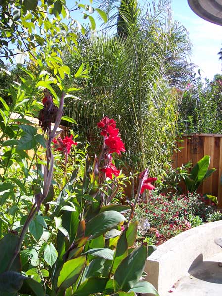 Landscape Designs by Rick Martens