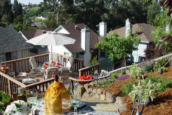 Patios and Decks by Rick Martens