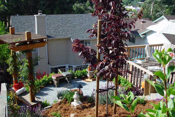 Patios and Decks by Rick Martens