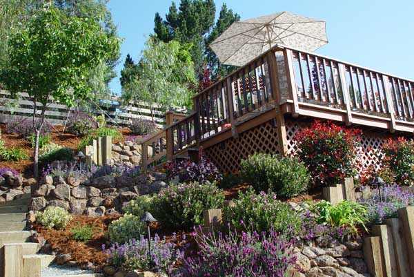 Patios and Decks by Rick Martens