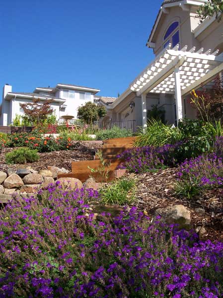 Pergolas by Rick Martens