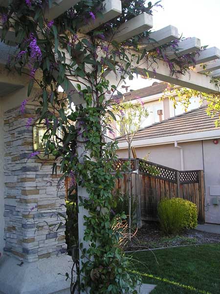 Pergolas by Rick Martens