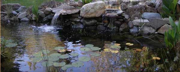 Primo Plantscapes Pond Design