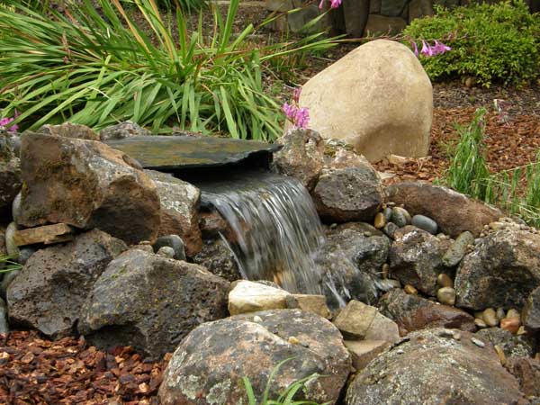 Water Features by Rick Martens