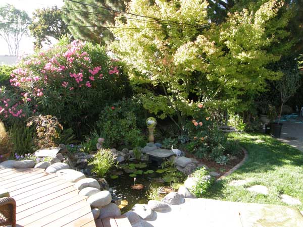 Water Features by Rick Martens