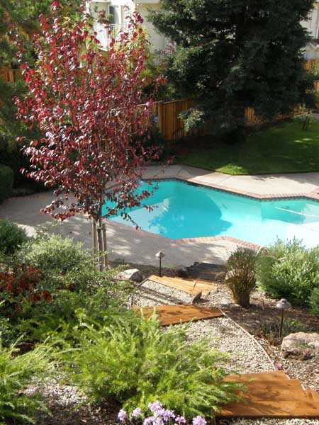 Water Features by Rick Martens