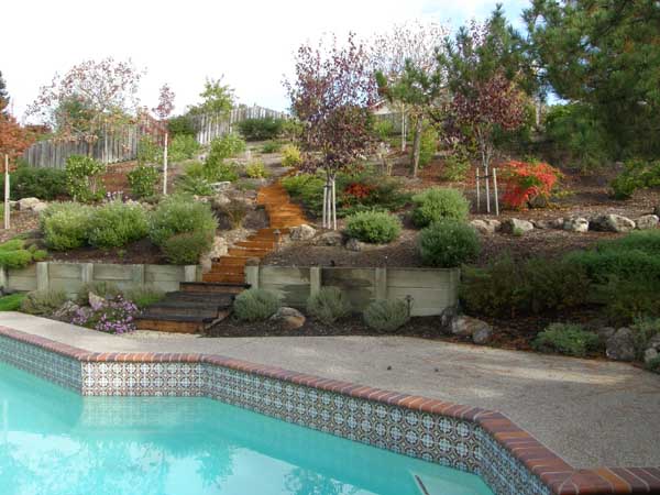 Water Features by Rick Martens