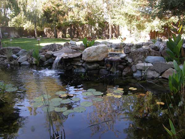 Water Features by Rick Martens